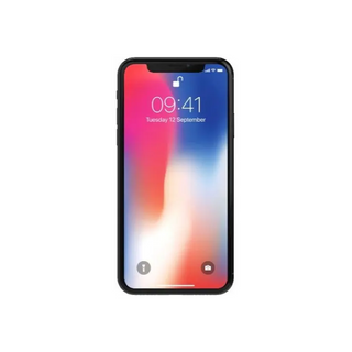 iPhone X